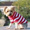 Striped Polo Dog Shirts