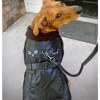 Top Dog Flight Dog Coats