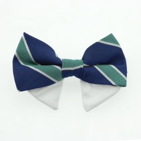 Universal Bow Ties For Dogs - Navy Blue and Green Stripe (Size: Type 1)