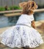 White Lace Dog Dress with Matching Leash