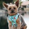 Choke Free Dog Back-Clip Dog Harness