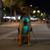 Rechargeable LED No-Pull Dog Harnesses