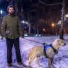 Rechargeable LED No-Pull Dog Harnesses