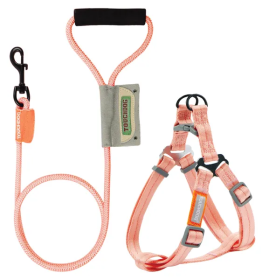 2-in-1 Durable Nylon Dog Walking Set (Color: Pink, Size: Small)