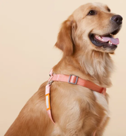 Durable Nylon Dog Walking Set (Color: Pink, Size: Small)