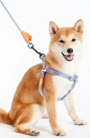 Durable Nylon Dog Walking Set (Color: Purple, Size: Small)