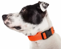 Adjustable Breathable Mesh Flat Dog Collars
