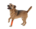 Joint Protective Reflective Mobility Aids for Dogs