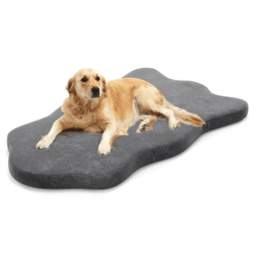 Orthopedic Dog Bed with Memory Foam Support (Color: Grey)