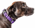 Adjustable Breathable Mesh Flat Dog Collars