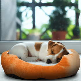 SALE Small/Medium Cozy Dog Nesting Beds (Color: Orange)