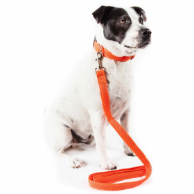 Adjustable Mesh Dog Leash and Collar (Color: Orange, Size: Small)