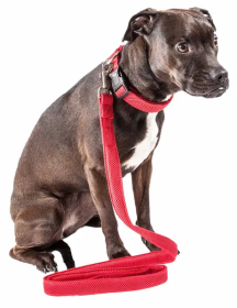 Adjustable Mesh Dog Leash and Collar (Color: Red, Size: Small)