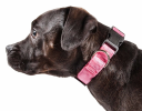 Adjustable Breathable Mesh Flat Dog Collars
