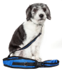 Hands-Free Leash and Belt with Pouch