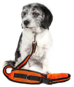 Hands-Free Leash and Belt with Pouch (Color: Orange)
