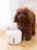Ultra-Quiet Filtered Dog Water Fountain