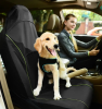 Mess-Free Single Seated Dog Car Seat Cover