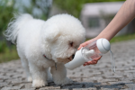 Handheld Travel Automatic Dog Water Bowl