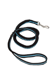 Shock Absorption Stitched Stretchy Dog Leashes (Color: Blue)