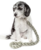 Industrial-Strength Shock Absorption Braided Dog Leash