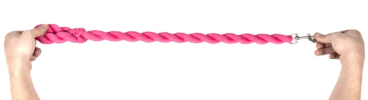 Industrial-Strength Shock Absorption Braided Dog Leash
