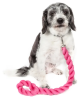 Industrial-Strength Shock Absorption Braided Dog Leash