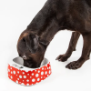 PETKIT FRESH Smart Digital Feeding Dog Food Bowl