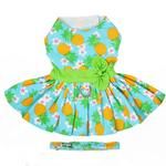 Pineapple Luau Dog Dress with Matching Leash (Size: Small)