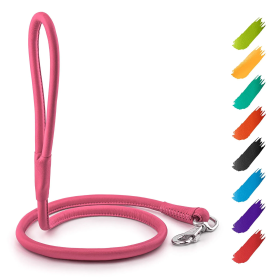 4ft Leather Rolled Dog Leash (Color: Pink)