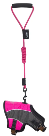 2-in-1 Adjustable Dog Harness and Leash (Color: Pink, Size: X-Small)