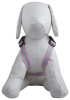 Mesh Double-Clip Dog Harnesses With Pouch