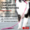 4ft Leather Rolled Dog Leash