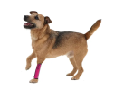 Joint Protective Reflective Mobility Aids for Dogs