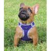 Step-In Dog Harnesses  - Paisley Purple