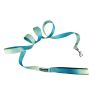 Ombre Flat Dog Leashes