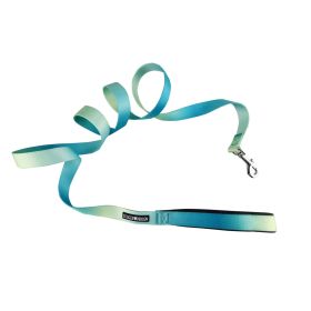 Ombre Flat Dog Leashes (Color: Aruba Blue, Size: 5/8 inches wide x 4 feet long)