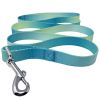 Ombre Flat Dog Leashes
