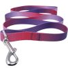 Ombre Flat Dog Leashes