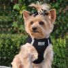 Choke Free Step-In Dog Harnesses - Solid Ultra Collection