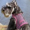 Cool Mesh Chest Strap Dog Harnesses - Under the Sea Collection