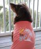 Gone To The Beach Dog Shirt - Coral
