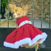 Holiday Dog Dress - Red Velvet Sparkle