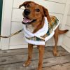 Sherpa-Lined Dog Harness Coat - Yellow Plaid