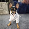 White Silver Tiara Cotton Dog Bathrobes