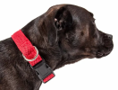 Adjustable Breathable Mesh Flat Dog Collars