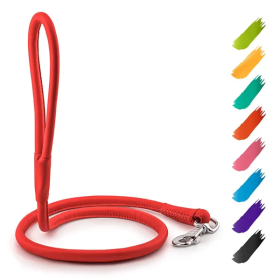 4ft Leather Rolled Dog Leash (Color: Red)