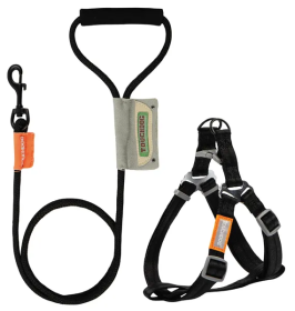 2-in-1 Durable Nylon Dog Walking Set (Color: Black, Size: Small)