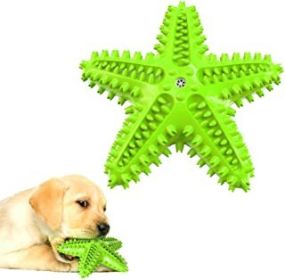 Starfish-Shaped Dental Toys (Color: Green)