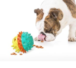 Interactive Dog Toys Multi-functional Ball (Color: Green)